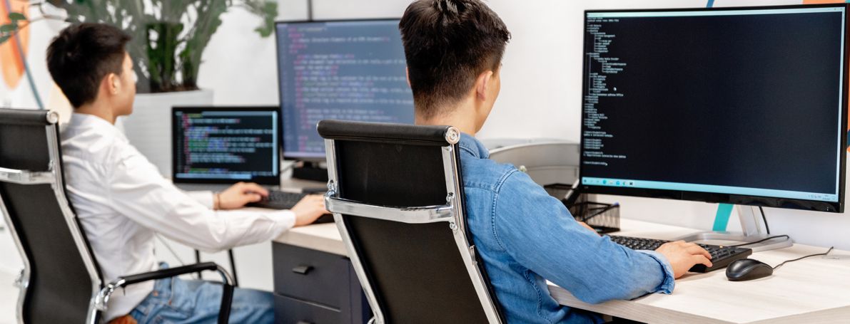 IT specialists working at computers